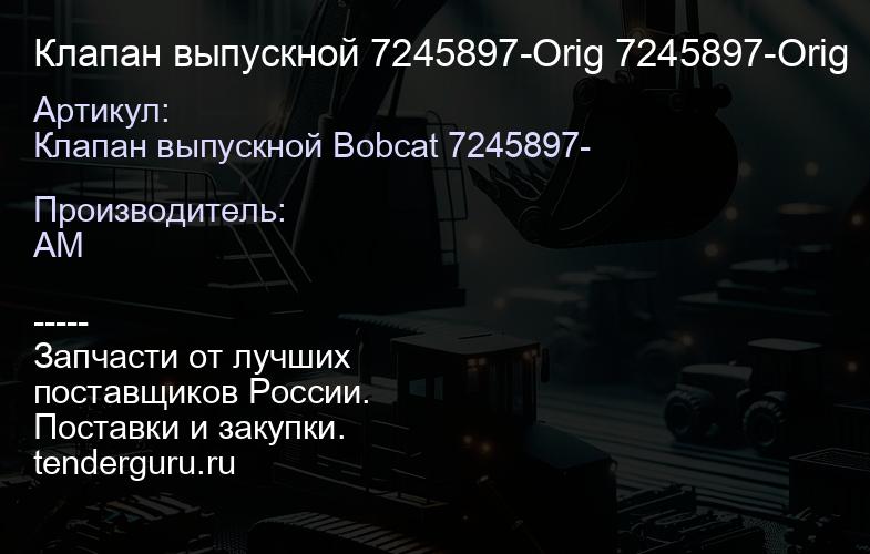 Клапан выпускной 7245897-Orig 7245897-Orig | купить запчасти